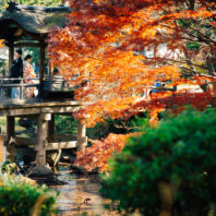 三渓園（神奈川）